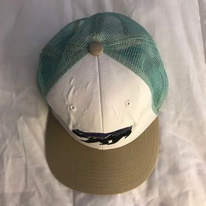 Patagonia Fitz Roy Bear Hat